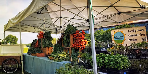 Farm Stand Fridays