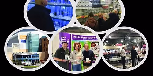 Racing Pigeon Show - Doncaster