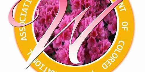 8th Annual Purpose, Power, & Platform Luncheon