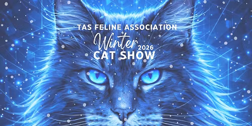 Tas Feline - Winter Cat Show
