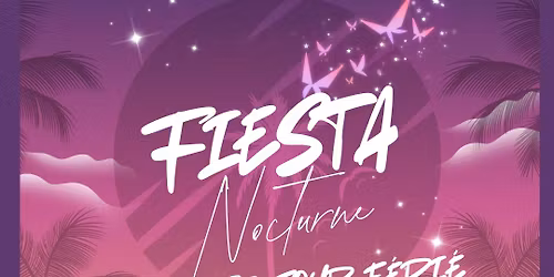 Fiesta nocturne
