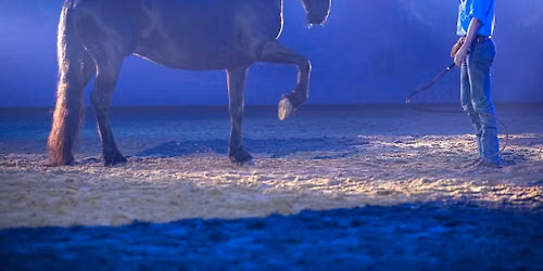 AUSTRALIAN OUTBACK SPECTACULAR - MATINEE