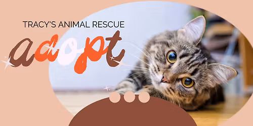 \ud83d\udc3eTracy's Animal Rescue\ud83d\udc3e-10