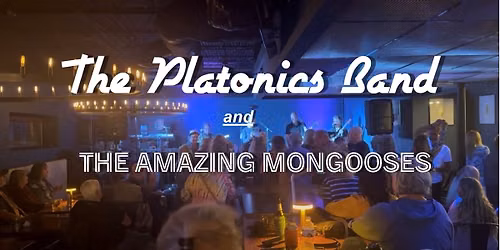 The Platonics & Amazing Mongooses @ The Zone of Light!