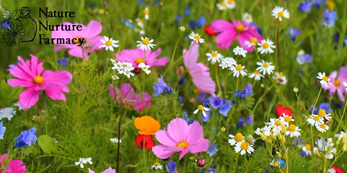 Experiential Flower Essences
