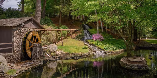 Stanley Park Guided Park Tour
