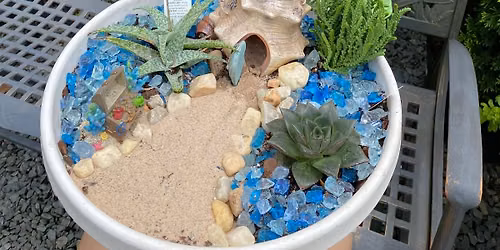 Cactus and Succulent Garden 