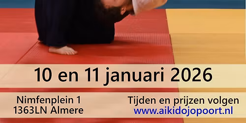Jubileumstage 10 jaar Aikidojo Poort met Kayla Feder