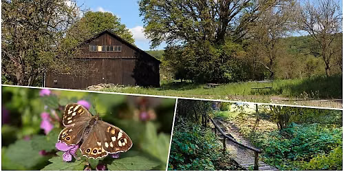 Social Hike: Rosebud Valley