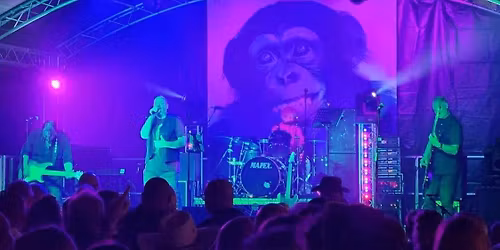 Groundhog Days at The Shinnon