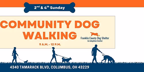 Community Dog Walking - OPEN to the public