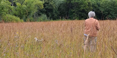 AKC Tracking TD Test