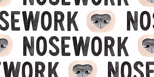 Cyber Scent Work Games Trial: Go Away & Focused Fido 