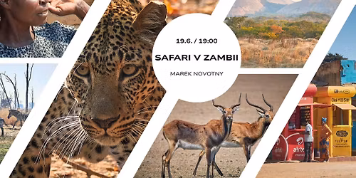 Safari v Zambii