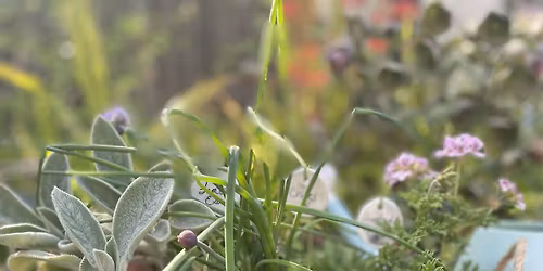 Mini Herb Garden Workshop
