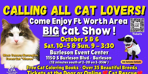 Cats at Emens Auditorium