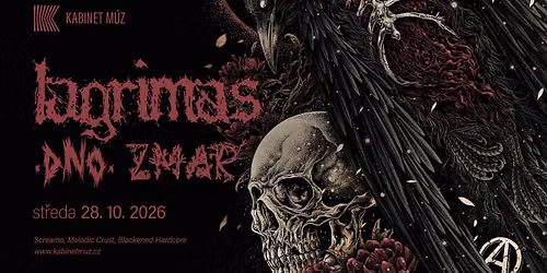 L\u00c1GRIMAS (USA) + DNO + ZMAR | Kabinet M\u00daZ