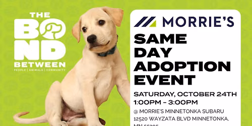 Subaru Loves Pets! Same Day Adoption Event at Morrie's Minnetonka Subaru