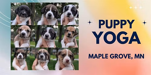 Puppy Yoga with No Dog Left Behind (Session 1)