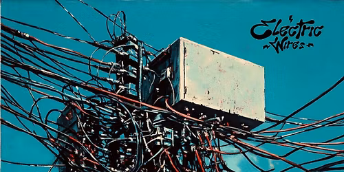 Electric Wires | Luca live @Ziggy Club