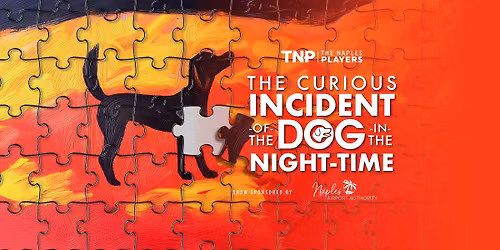 The Curious Incident of the Dog in the Night-Time