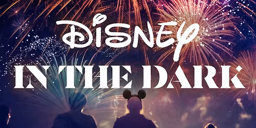 Disney in the Dark Fireworks Evening