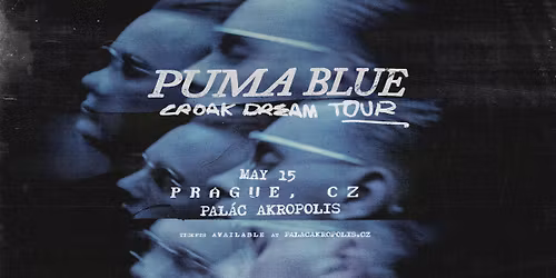 Puma Blue | MUSIC INFINITY
