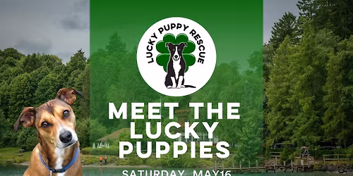 NY- Meet the Lucky Puppies