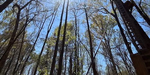 Meet N Greet: Alexandria, Louisiana