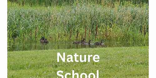 Nature School