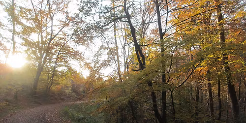 Bensberger Schl\u00f6sserrunde - Wald, Wasser und Weitblick