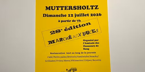 March\u00e9 aux puces de Muttersholtz