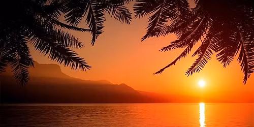 Summer Vibes Paint & Sip!