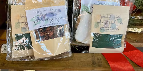 Higher Timelines Heavy Metal Detox Demo\/Sampling