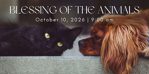 Blessing of The Animals
