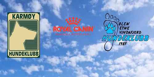 Sommerutstilling 2026 Skudeneshavn 