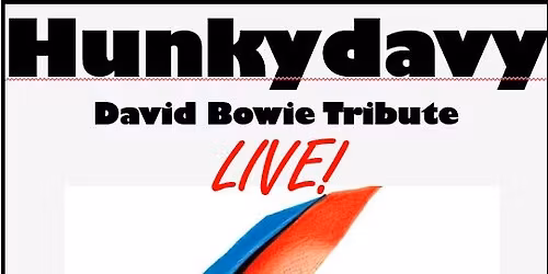 Hunky Davy at Ronnie's 