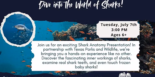 Dive into the World of Sharks!