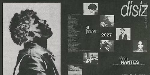 disiz en concert \u00e0 Nantes \u2022 Z\u00e9nith