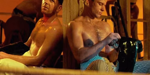 Br\u00fblez vos larmes #3 : QUERELLE de R. W. Fassbinder (1982)