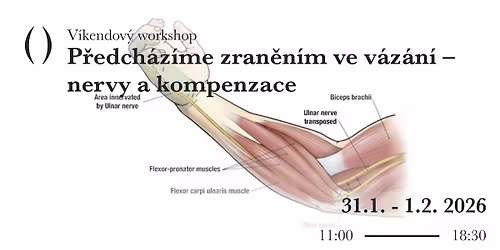 Workshopy P\u0159edch\u00e1z\u00edme zran\u011bn\u00edm ve v\u00e1z\u00e1n\u00ed \u2013 nervy a kompenzace