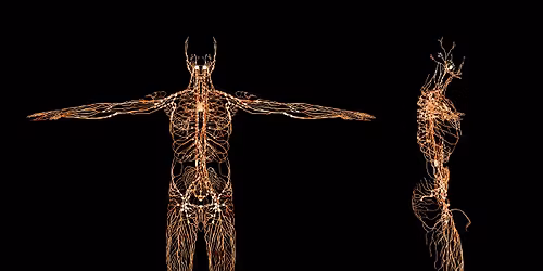 Workshopy P\u0159edch\u00e1z\u00edme zran\u011bn\u00edm ve v\u00e1z\u00e1n\u00ed \u2013 nervy a kompenzace