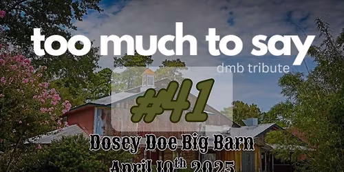 Too Much To Say - Dave Matthews Band Tribute