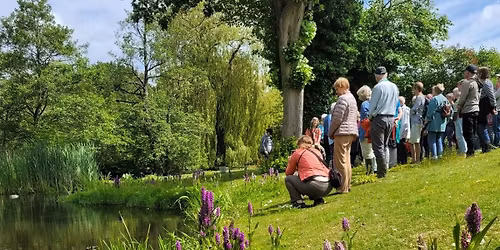 Bes\u00f8g \u00c5kes vilde orkidehave