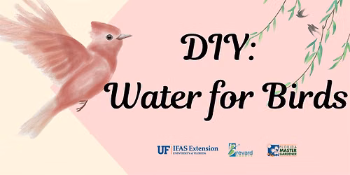DIY: Water for Birds