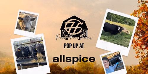 Pop-Up with Forest Home Farms at AllSpice Des Moines