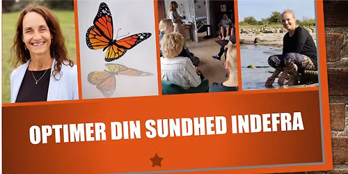 Optimer din sundhed indefra