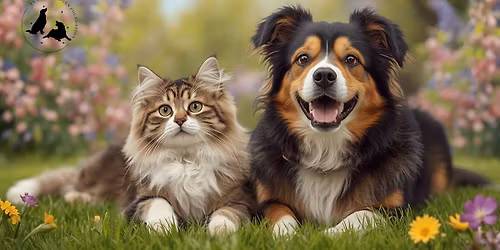 \ud83c\udf38\ud83d\udc3e Petals & Paws \ud83d\udc3e\ud83c\udf38