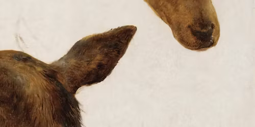 Max Garc\u00eda Conover, Haley Heynderickx in Brattleboro