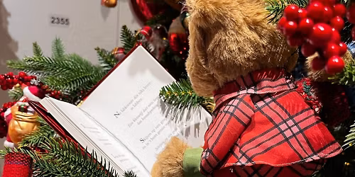 Ladies Night Out 2025